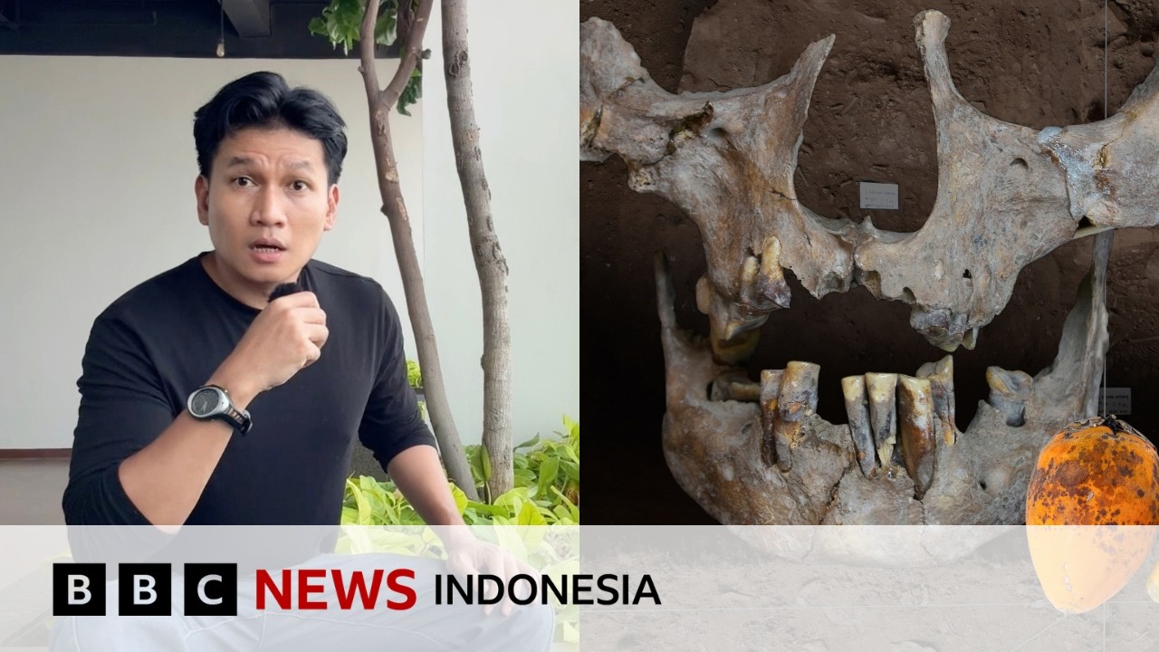 Manusia purba pakai buah pinang buat obat sakit gigi?