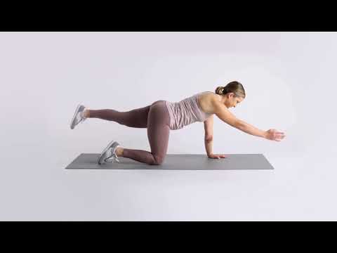 How to Do the Bird Dog Exercise: A Guide from Physical Therapists