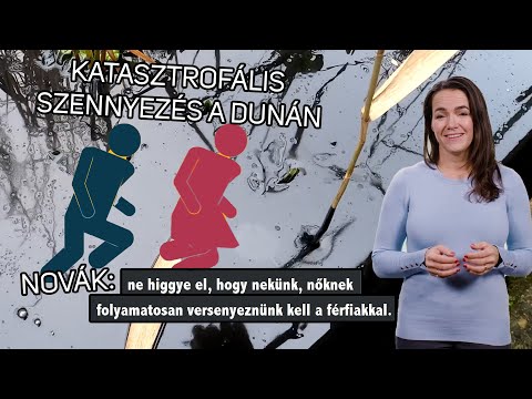 [i]GAZSÁG - KATASZTROFÁLIS OLAJSZENNYEZÉS A DUNÁN! NOVÁK KATALIN ÉS A NŐI EGYENJOGÚSÁG