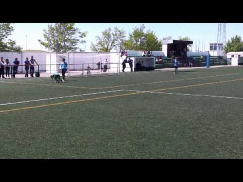 Partido amistoso Benjamines A del Novo vs. San Fernando CF