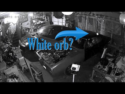 YouTube video about: Can bugs set off motion lights?