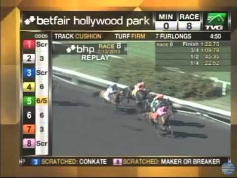 2013 A Gleam Handicap - Book Review