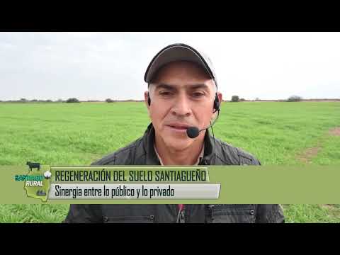 Regeneración de suelos: experiencia en Santiago del Estero