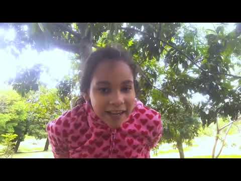 Show de aleatoriedades no parque de Águas Claras