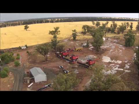 BFB Harvest 2014