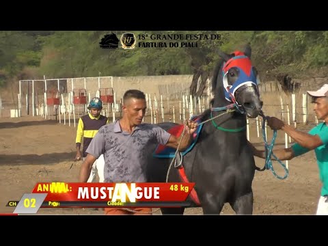 TORNEIO EM FARTURA DO PIAUI 2021 - Corrida de Cavalos, Confira!!!