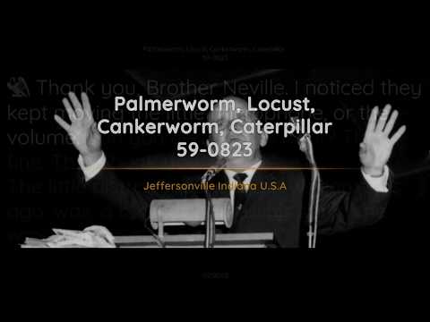 59-0823 Palmerworm Locust Cankerworm Caterpillar | William Branham