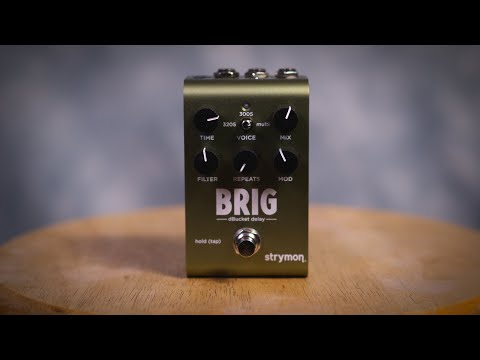 Strymon Brig: Gorgeous Analog Delays in a Small Package!