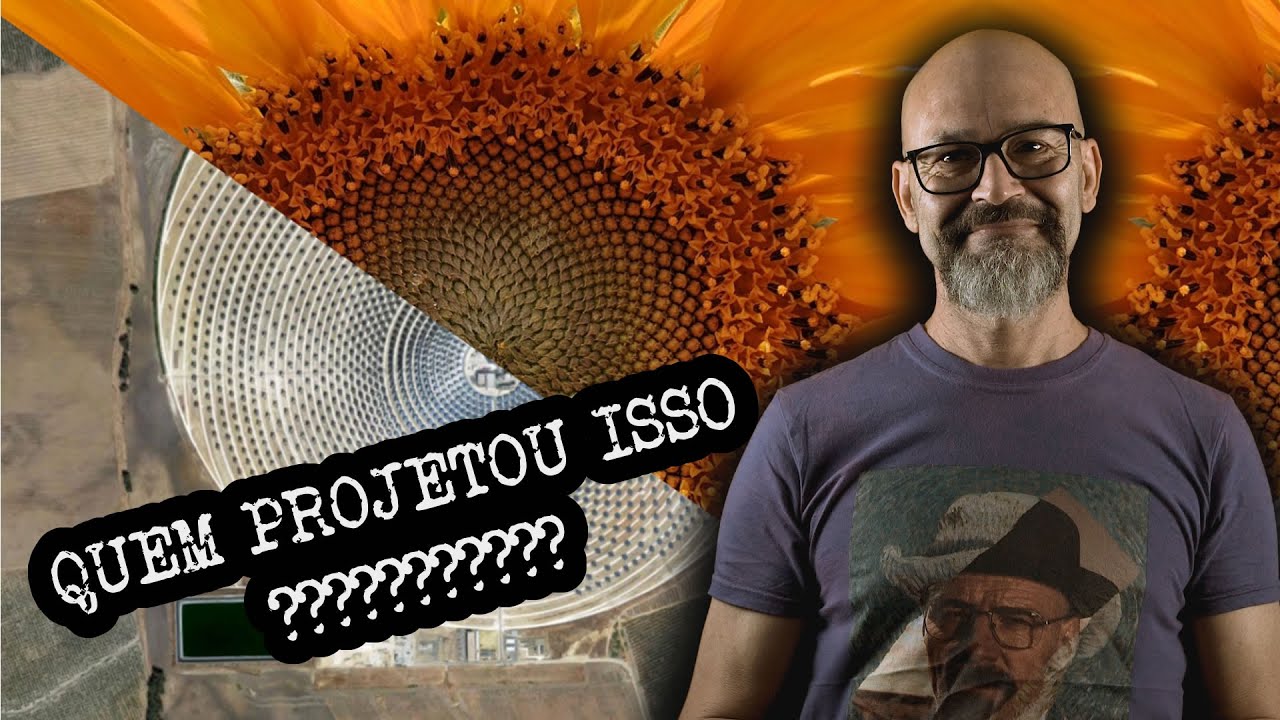 Biomimetica - O Futuro Possível