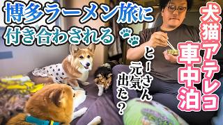 【九州🐾車中泊旅】とーさんのメンタル回復の旅に付き合わされる犬と猫【長生きしてくれよ…】