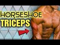 Build Horseshoe Triceps || Best and Worst Exercises For Optimal Tricep Growth!