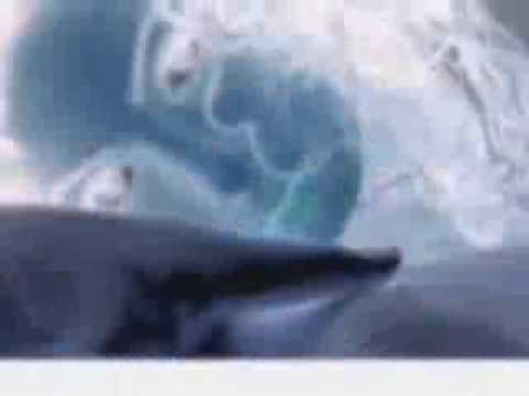 Claudia Pavel-muvee.mp4