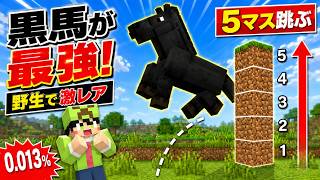 【マインクラフト】確率0.013％！野生で速くて５マスジャンプが出来る黒馬を発見！【マインクラフト】【マイクラ実況】【homeクラ】
