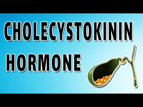 Cholecystokinin (CCK)