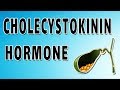 Cholecystokinin CCK
