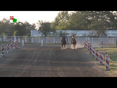 Közel-kép - Vajdasági Futam