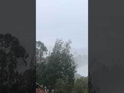 Tranapuente Carahue , Región de la Araucanía, Chile .