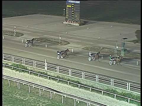 Trotto 22/12/2017 - prova di qualifica