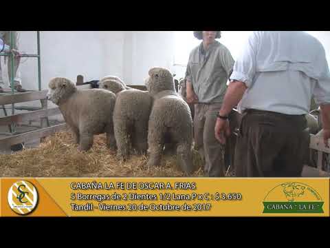 20-10-17 Venta de Borregas - Cabaña La Fe de Oscar A. Frías - Tandil