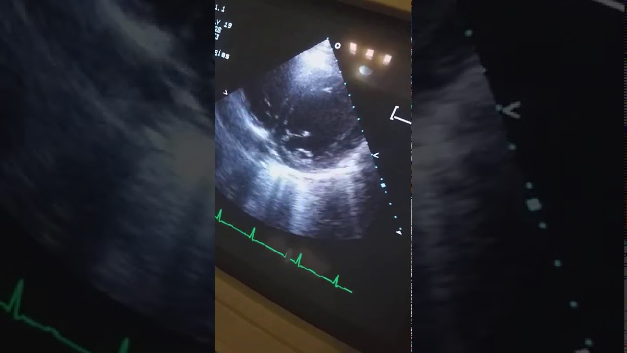 Daniel Omar Sato Gastélum-0