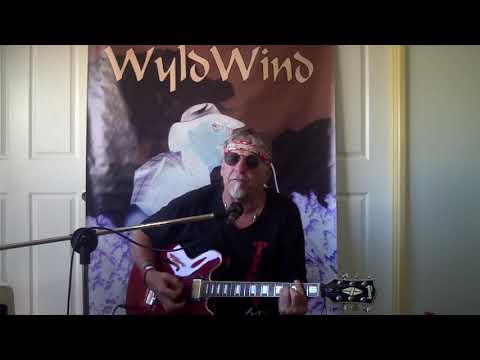 Tennessee Whiskey, cover by Wyldwind.