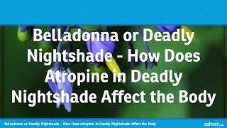 Belladonna or Deadly Nightshade - How Does Atropine in Deadly Nightshade Affect the Body