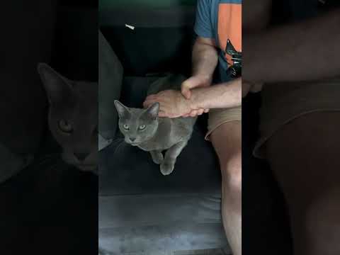 Obrazek poglądowy filmu YouTube