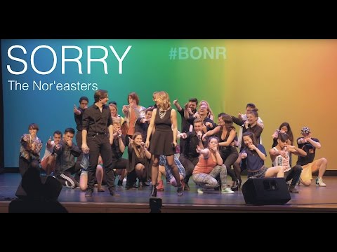 Sorry (opb. Justin Bieber) - The Nor'easters