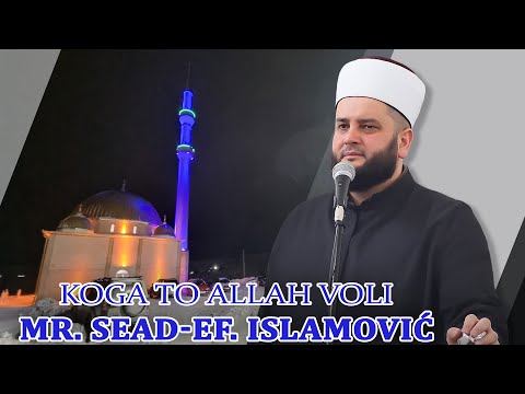Koga to Allah voli /⁴ᵏ mr. Sead-Ef. Islamović #hadzimehovadzamija