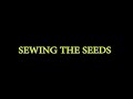 Sewing The Seeds Photo Editing By Veerappan