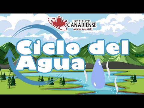 El Ciclo del Agua - Video Educativo Preescolar