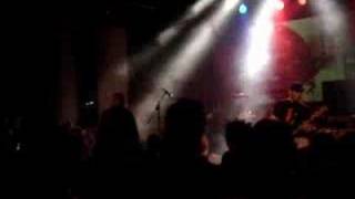 Jaya the Cat - Night Bus