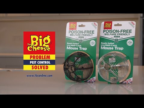 (Live Catch and Release) Ready-Baited Multi-Catch Live Mouse Trap 2 Colours STV043