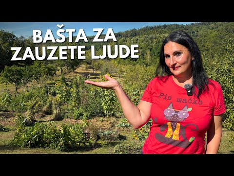 Garden Full of Food even for Busy People – Motivational Biogarden