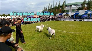 Download lagu KESENIAN / KETANGKASAN DOMBA GARUT  'Indah Di Pandang, Enak di Panggang' mp3