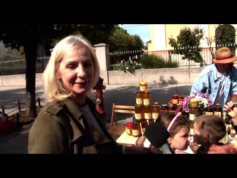 Najbolji inđijski med na centru Inđije