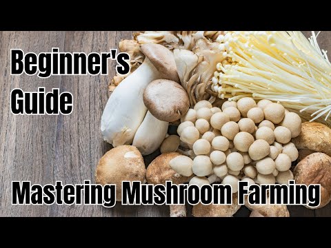 Mastering Mushroom Farming: A Beginner's Guide