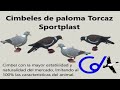 Video: PALOMA TORCAZ COMIENDO SPORT