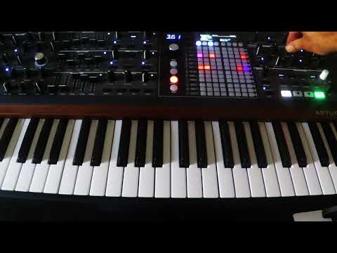 step sequencing on the Polybrute