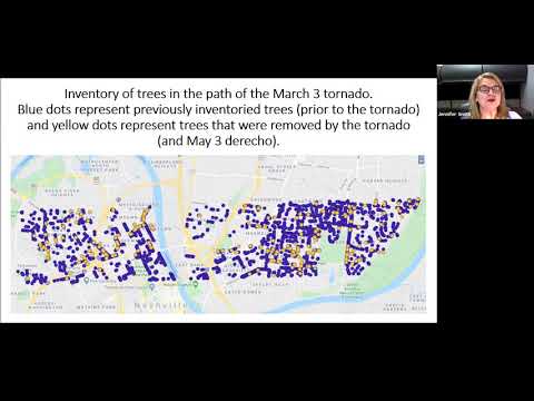 08/18/20 Tree Talk with the Metro Tree Advisory Committee