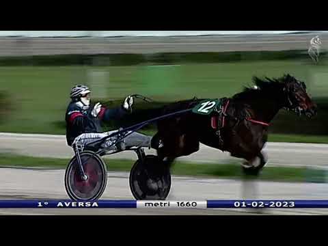Aversa trotto 1 Febbraio 2023 - 1° Corsa