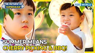 Cherry Picking & BBQ with the Woo Brothers! 🍒 [The Return of Superman:Ep.630] | KBS WORLD TV 260802