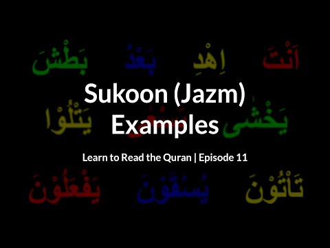 Sukoon (Jazm) Examples | Learn to Read the Quran (Episode 11)