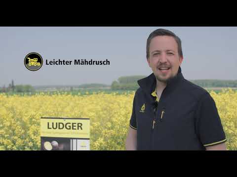 Sortenvorstellung LUDGER