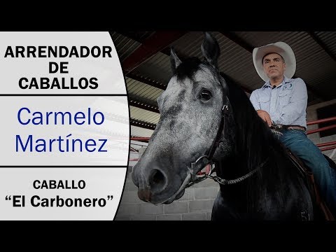 Landlord Carmelo Martinez - Caballo El Carbonero - Cala de Caballo