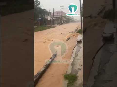 WATCH: Israel Lomnava Hit by Flooding as Heavy Rains Continue