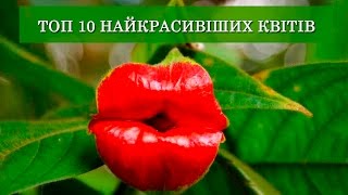 💐 ТОП 10 САМЫХ КРАСИВЫХ ЦВЕТОВ НА ЗЕМЛЕ ! 😍❤️🌷