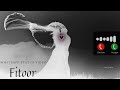 Fitoor Shamshera Movie Songs Ringtones Download Mp3