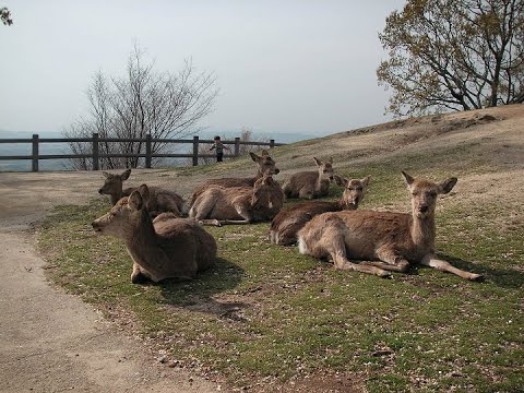 Across The Great Divide (1976) OST-2