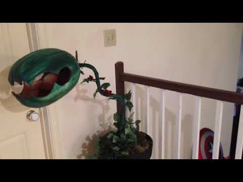 Man Eating Plant Prop
